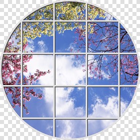 Textures   -   ARCHITECTURE   -   BUILDINGS   -   Windows   -  special windows - Special window texture 01182