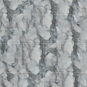 Textures   -   ARCHITECTURE   -   TILES INTERIOR   -   Marble tiles   -  White - Calacatta white marble floor tile texture seamless 14860