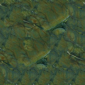 Textures   -   ARCHITECTURE   -   MARBLE SLABS   -  Green - Slab marble vittoria green texture seamless 02286