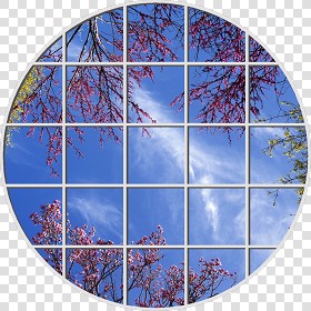 Textures   -   ARCHITECTURE   -   BUILDINGS   -   Windows   -  special windows - Special window texture 01185