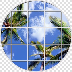 Textures   -   ARCHITECTURE   -   BUILDINGS   -   Windows   -  special windows - Special window texture 01186