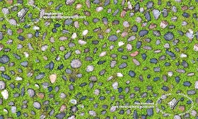 Textures   -   ARCHITECTURE   -   ROADS   -   Paving streets   -  Rounded cobble - Road rounded cobblestone with green grass texture seamless 19752