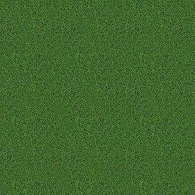 Textures   -   NATURE ELEMENTS   -   VEGETATION   -  Green grass - Green grass texture seamless 13029