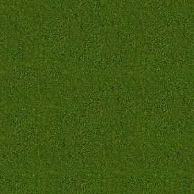 Textures   -   NATURE ELEMENTS   -   VEGETATION   -  Green grass - Green grass texture seamless 13030