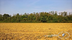 Textures   -   BACKGROUNDS &amp; LANDSCAPES   -   NATURE   -  Countrysides &amp; Hills - Plowed land countrysides landscape texture 17986