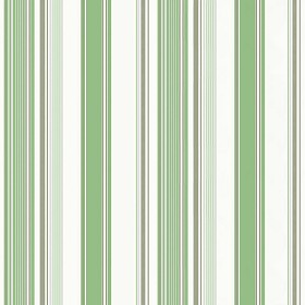 Textures   -   MATERIALS   -   WALLPAPER   -   Striped   -  Green - White green striped wallpaper texture seamless 11793