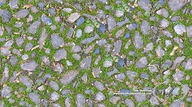 Textures   -   ARCHITECTURE   -   ROADS   -   Paving streets   -  Rounded cobble - Rounded cobblestone texture seamless 20207