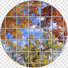Textures   -   ARCHITECTURE   -   BUILDINGS   -   Windows   -  special windows - Special window texture 01191