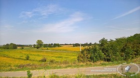 Textures   -   BACKGROUNDS &amp; LANDSCAPES   -   NATURE   -  Countrysides &amp; Hills - Countrysides landscape texture 17989