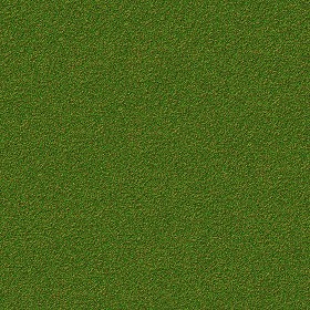 Textures   -   NATURE ELEMENTS   -   VEGETATION   -  Green grass - Green grass texture seamless 13033