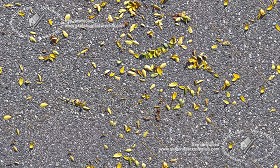 Textures   -   NATURE ELEMENTS   -   VEGETATION   -  Leaves dead - Asphalt with dead leaves texture seamless 19236