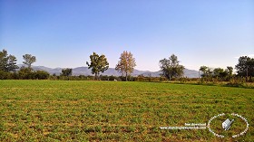 Textures   -   BACKGROUNDS &amp; LANDSCAPES   -   NATURE   -  Countrysides &amp; Hills - Countrysides green landscape texture 17993