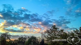 Textures   -   BACKGROUNDS &amp; LANDSCAPES   -  SUNRISES &amp; SUNSETS - Autumn sunrise with branches trees landscape 21026
