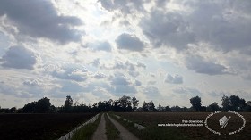 Textures   -   BACKGROUNDS &amp; LANDSCAPES   -  SKY &amp; CLOUDS - Cloudy sky in the early morning with countryside background 18550