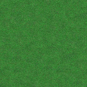 Textures   -   NATURE ELEMENTS   -   VEGETATION   -  Green grass - Green grass texture seamless 13054