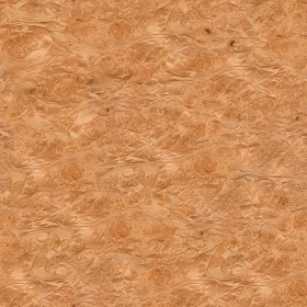 Textures   -   ARCHITECTURE   -   WOOD   -   Fine wood   -  Medium wood - Maple burl medium color texture seamless 04486