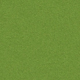 Textures   -   NATURE ELEMENTS   -   VEGETATION   -  Green grass - Green grass texture seamless 13056