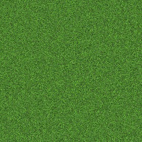 Textures   -   NATURE ELEMENTS   -   VEGETATION   -  Green grass - Green grass texture seamless 13057