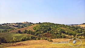 Textures   -   BACKGROUNDS &amp; LANDSCAPES   -   NATURE   -  Countrysides &amp; Hills - Hills landscape texture 18021