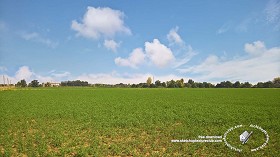 Textures   -   BACKGROUNDS &amp; LANDSCAPES   -   NATURE   -  Countrysides &amp; Hills - Countrysides green landscape 18025