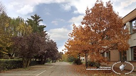 Textures   -   BACKGROUNDS &amp; LANDSCAPES   -  CITY &amp; TOWNS - Urban area with autumn trees landscape 19268
