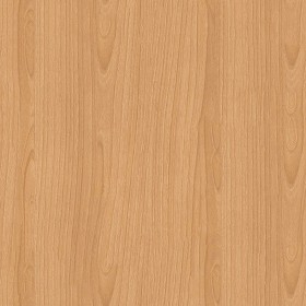 Textures   -   ARCHITECTURE   -   WOOD   -   Fine wood   -  Light wood - Light beech wood end seamless texture 16490
