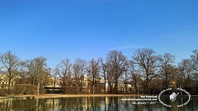 Textures   -   BACKGROUNDS &amp; LANDSCAPES   -  CITY &amp; TOWNS - City urban area with winter trees landscape 20200