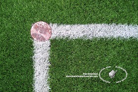 Textures   -   NATURE ELEMENTS   -   VEGETATION   -  Green grass - Angle rugby field texture 18713