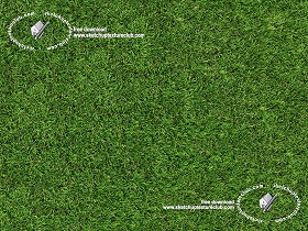 Textures   -   NATURE ELEMENTS   -   VEGETATION   -  Green grass - Green synthetic grass texture seamless 18714