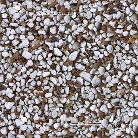 Textures   -   NATURE ELEMENTS   -  GRAVEL &amp; PEBBLES - White pebbles stone with dead leaves texture seamless 19753