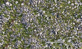 Textures   -   NATURE ELEMENTS   -  GRAVEL &amp; PEBBLES - Pebbles with grass texture seamless 20453