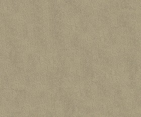 Textures   -   ARCHITECTURE   -   PLASTER   -  Painted plaster - Fine plaster painted wall texture seamless 07016