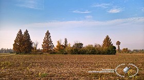 Textures   -   BACKGROUNDS &amp; LANDSCAPES   -   NATURE   -  Countrysides &amp; Hills - Countryside landscape with autumnal trees 19727