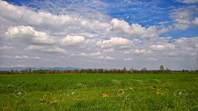 Textures   -   BACKGROUNDS &amp; LANDSCAPES   -   NATURE   -  Countrysides &amp; Hills - Contryside landscape with cludy sky 20610