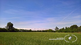 Textures   -   BACKGROUNDS &amp; LANDSCAPES   -   NATURE   -  Countrysides &amp; Hills - Country landscape with trees in the background 20743