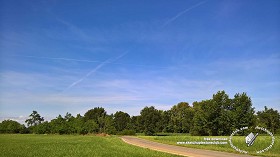 Textures   -   BACKGROUNDS &amp; LANDSCAPES   -   NATURE   -  Countrysides &amp; Hills - Landscape with trees in the background 20745
