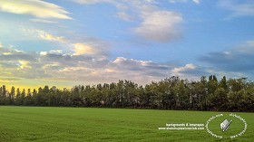 Textures   -   BACKGROUNDS &amp; LANDSCAPES   -   NATURE   -  Countrysides &amp; Hills - Country landscape with trees background 21030