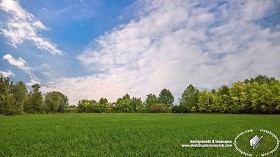 Textures   -   BACKGROUNDS &amp; LANDSCAPES   -   NATURE   -  Countrysides &amp; Hills - Country landscape with trees background 21037