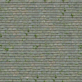 Textures   -   ARCHITECTURE   -   ROOFINGS   -  Flat roofs - 058 England old flat clay roof tiles texture seamless 03589