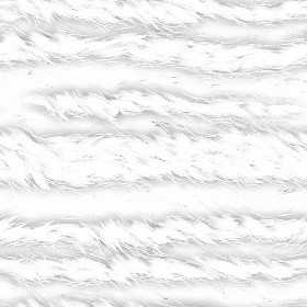 Textures   -   MATERIALS   -   FUR ANIMAL  - Faux fake fur animal texture seamless 09551 - Ambient occlusion