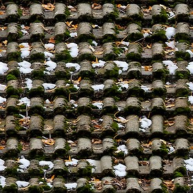 Textures   -   ARCHITECTURE   -   ROOFINGS   -  Snowy roofs - Snowy roof texture seamless 04029