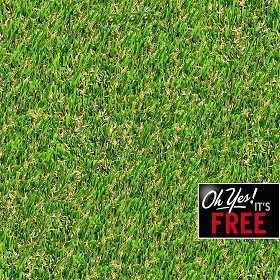 Textures   -  FREE PBR TEXTURES - grass cutted PBR texture seamless 21443