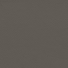 Textures   -   MATERIALS   -  LEATHER - Leather texture seamless 09596