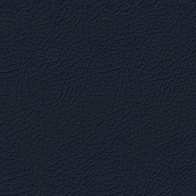Textures   -   MATERIALS   -   LEATHER  - Leather texture seamless 09685 - Specular