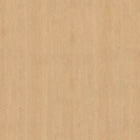Textures   -   ARCHITECTURE   -   WOOD   -   Fine wood   -  Light wood - Sycomore light wood fine texture 04392