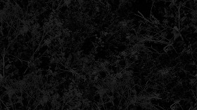 Textures   -   NATURE ELEMENTS   -   VEGETATION   -   Green grass  - Brambles texture seamless 17358 - Specular
