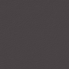 Textures   -   MATERIALS   -   LEATHER  - Leather texture seamless 09688 - Specular