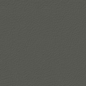 Textures   -   MATERIALS   -   LEATHER  - Leather texture seamless 09689 - Specular