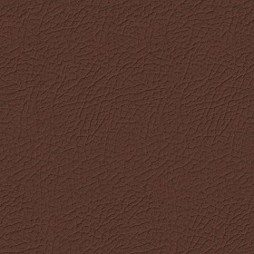 Textures   -   MATERIALS   -  LEATHER - Leather texture seamless 09693
