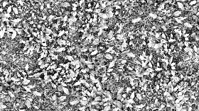 Textures   -   NATURE ELEMENTS   -   VEGETATION   -   Green grass  - Green grass texture seamless 17954 - Bump